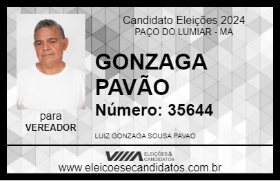 Candidato GONZAGA PAVÃO 2024 - PAÇO DO LUMIAR - Eleições