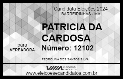 Candidato PATRICIA DA CARDOSA 2024 - BARREIRINHAS - Eleições