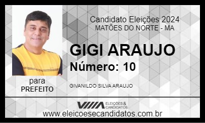 Candidato GIGI ARAUJO 2024 - MATÕES DO NORTE - Eleições