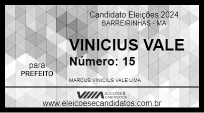 Candidato VINICIUS VALE 2024 - BARREIRINHAS - Eleições