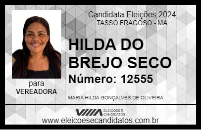 Candidato HILDA DO BREJO SECO 2024 - TASSO FRAGOSO - Eleições