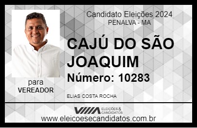 Candidato CAJÚ DO SÃO JOAQUIM 2024 - PENALVA - Eleições