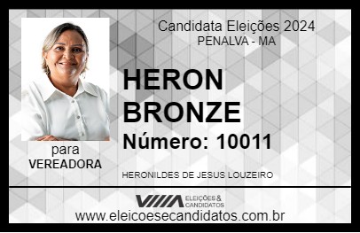 Candidato HERON BRONZE 2024 - PENALVA - Eleições