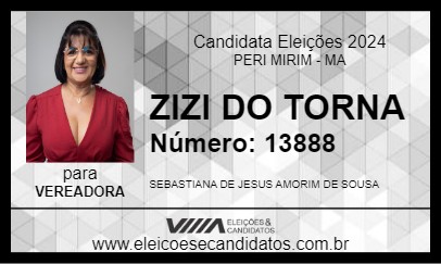 Candidato ZIZI DO TORNA 2024 - PERI MIRIM - Eleições