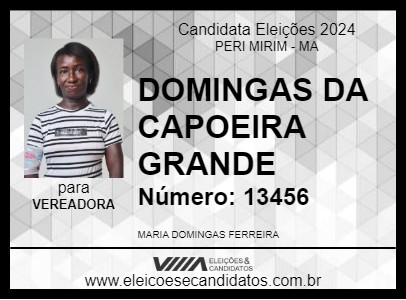 Candidato DOMINGAS DA CAPOEIRA GRANDE 2024 - PERI MIRIM - Eleições