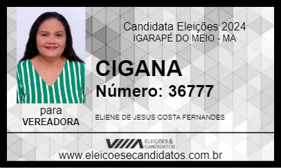 Candidato CIGANA 2024 - IGARAPÉ DO MEIO - Eleições