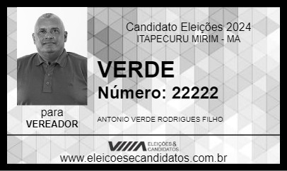 Candidato VERDE 2024 - ITAPECURU MIRIM - Eleições