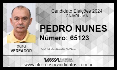 Candidato PEDRO NUNES 2024 - CAJARI - Eleições