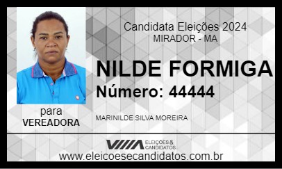 Candidato NILDE FORMIGA 2024 - MIRADOR - Eleições