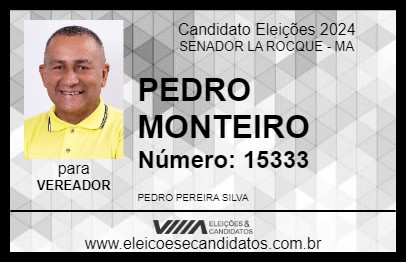 Candidato PEDRO MONTEIRO 2024 - SENADOR LA ROCQUE - Eleições