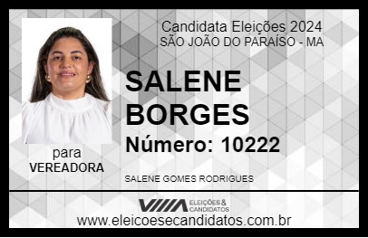 Candidato SALENE BORGES 2024 - SÃO JOÃO DO PARAÍSO - Eleições