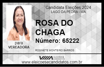 Candidato ROSA DO CHAGA 2024 - LAGO DA PEDRA - Eleições