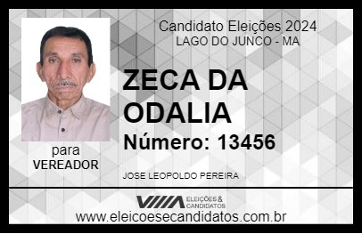 Candidato ZECA DA ODALIA 2024 - LAGO DO JUNCO - Eleições