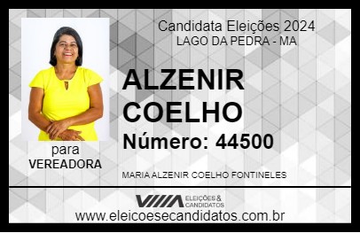 Candidato ALZENIR COELHO 2024 - LAGO DA PEDRA - Eleições