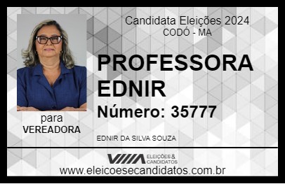 Candidato PROFESSORA EDNIR 2024 - CODÓ - Eleições