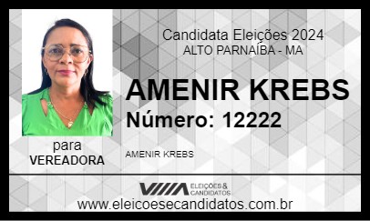 Candidato AMENIR KREBS 2024 - ALTO PARNAÍBA - Eleições