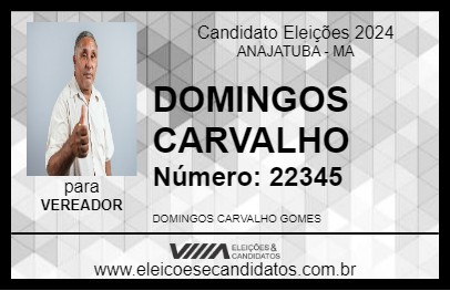 Candidato DOMINGOS CARVALHO 2024 - ANAJATUBA - Eleições