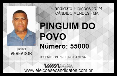 Candidato PINGUIM DO POVO 2024 - CÂNDIDO MENDES - Eleições