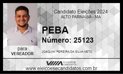 Candidato PEBA 2024 - ALTO PARNAÍBA - Eleições