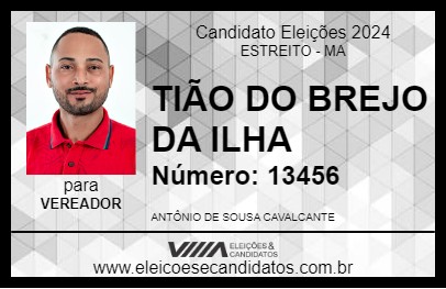 Candidato TIÃO DO BREJO DA ILHA 2024 - ESTREITO - Eleições