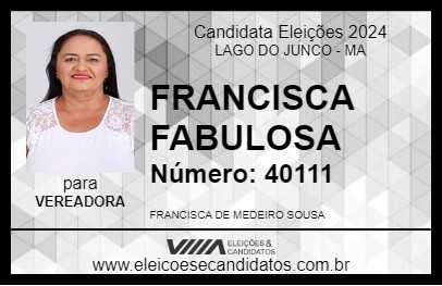 Candidato FRANCISCA FABULOSA 2024 - LAGO DO JUNCO - Eleições