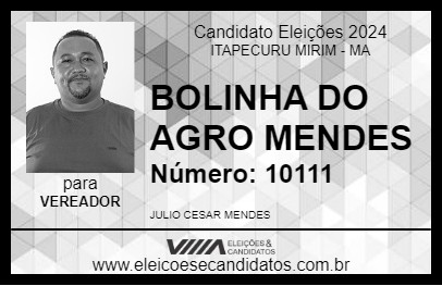 Candidato BOLINHA DO AGRO MENDES 2024 - ITAPECURU MIRIM - Eleições