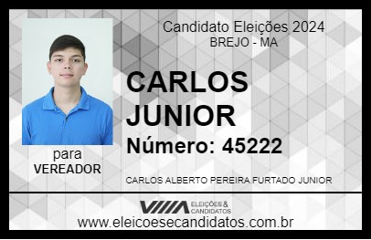 Candidato CARLOS JUNIOR 2024 - BREJO - Eleições