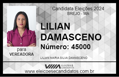 Candidato LILIAN DAMASCENO 2024 - BREJO - Eleições