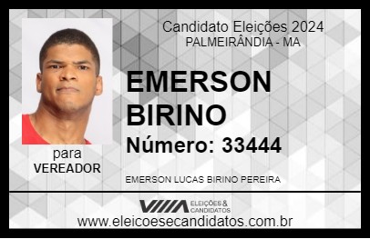 Candidato EMERSON BIRINO 2024 - PALMEIRÂNDIA - Eleições