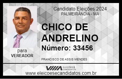 Candidato CHICO DE ANDRELINO 2024 - PALMEIRÂNDIA - Eleições