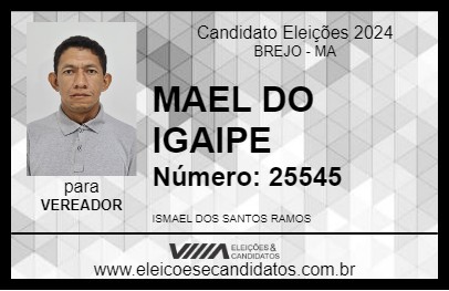 Candidato MAEL DO IGAIPE 2024 - BREJO - Eleições