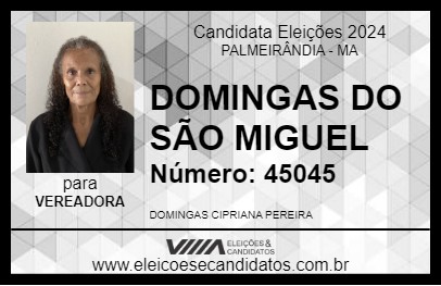 Candidato DOMINGAS DO SÃO MIGUEL 2024 - PALMEIRÂNDIA - Eleições