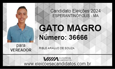 Candidato GATO MAGRO 2024 - ESPERANTINÓPOLIS - Eleições