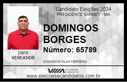 Candidato DOMINGOS BORGES 2024 - PRESIDENTE SARNEY - Eleições