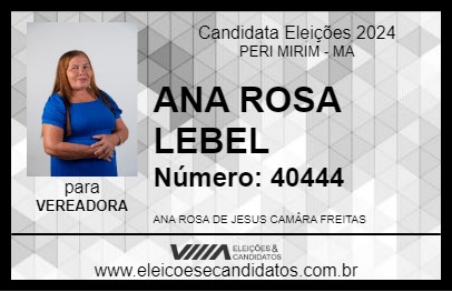 Candidato ANA ROSA LEBEL 2024 - PERI MIRIM - Eleições