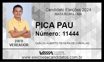 Candidato PICA PAU 2024 - MATA ROMA - Eleições