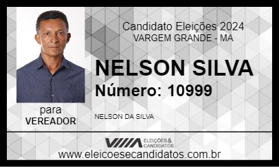 Candidato NELSON SILVA 2024 - VARGEM GRANDE - Eleições