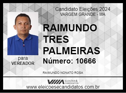 Candidato RAIMUNDO TRES PALMEIRAS 2024 - VARGEM GRANDE - Eleições