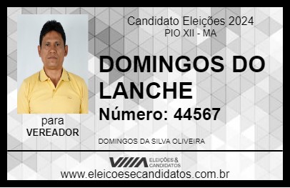 Candidato DOMINGOS DO LANCHE 2024 - PIO XII - Eleições