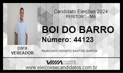 Candidato BOI DO BARRO 2024 - PERITORÓ - Eleições