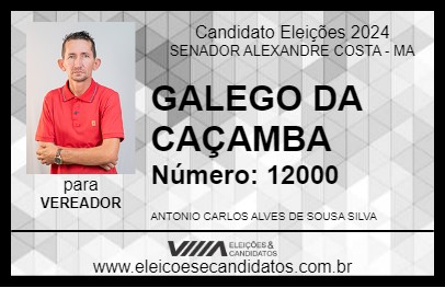 Candidato GALEGO DA CAÇAMBA 2024 - SENADOR ALEXANDRE COSTA - Eleições