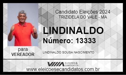 Candidato LINDINALDO 2024 - TRIZIDELA DO VALE - Eleições