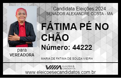 Candidato FÁTIMA PÉ NO CHÃO 2024 - SENADOR ALEXANDRE COSTA - Eleições