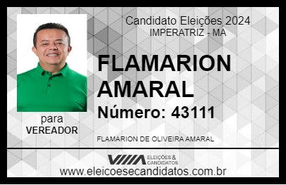 Candidato FLAMARION AMARAL 2024 - IMPERATRIZ - Eleições