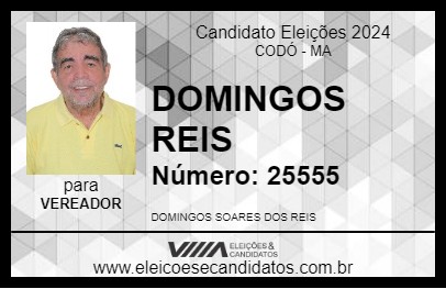 Candidato DOMINGOS REIS 2024 - CODÓ - Eleições