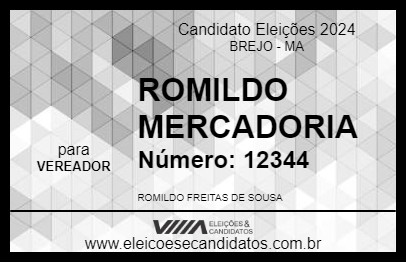 Candidato ROMILDO MERCADORIA 2024 - BREJO - Eleições