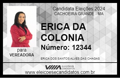 Candidato ERICA DA COLONIA 2024 - CACHOEIRA GRANDE - Eleições