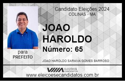 Candidato JOAO HAROLDO 2024 - COLINAS - Eleições