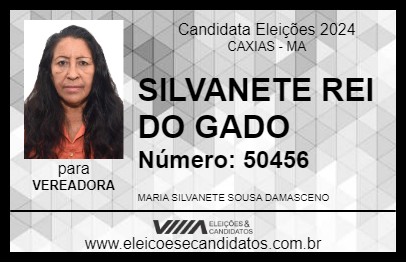 Candidato SILVANETE REI DO GADO 2024 - CAXIAS - Eleições