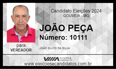 Candidato JOÃO PEÇA 2024 - GOUVEIA - Eleições